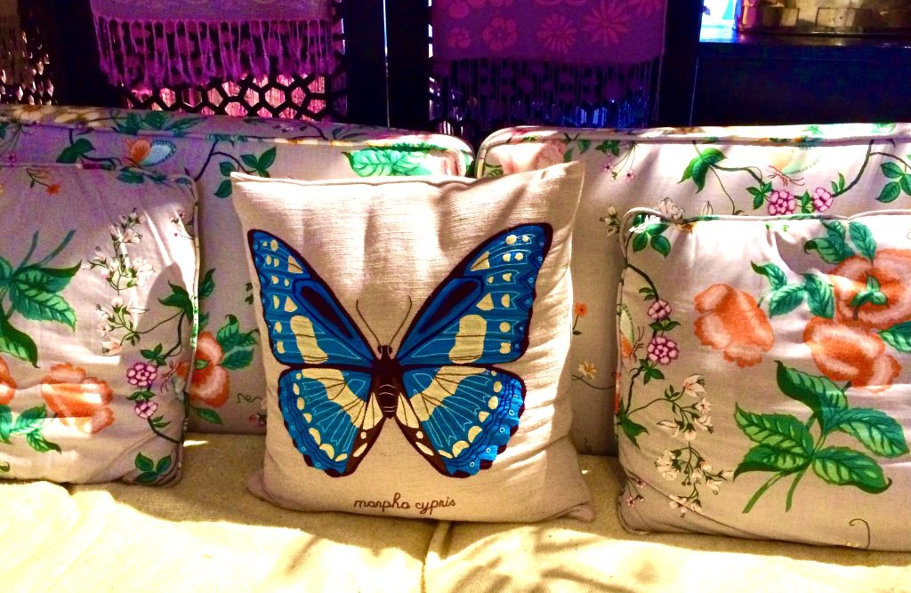 A pillow with a blue butterfly--morpho cypris--on it, flanked by two pillows will flowers on them